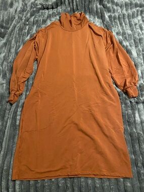 Garnet Hill Rust Long Sleeve Turtleneck Dress